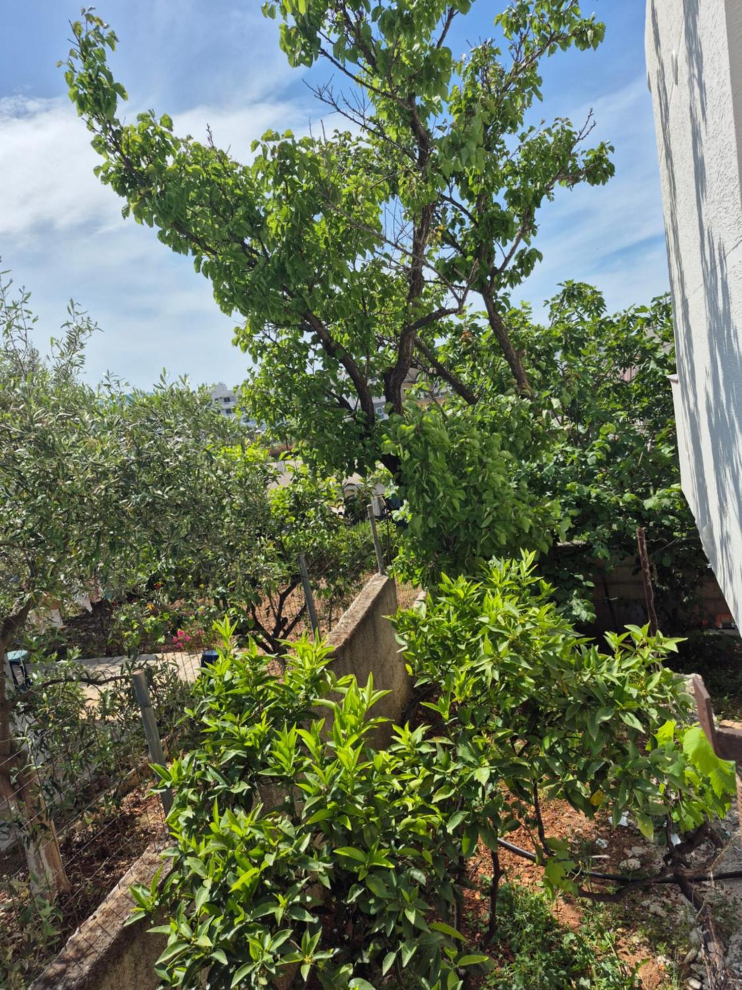 Vita Apartment - Spacious Garden And Balcony 5 Min To Beach & Center Ksamil Eksteriør bilde