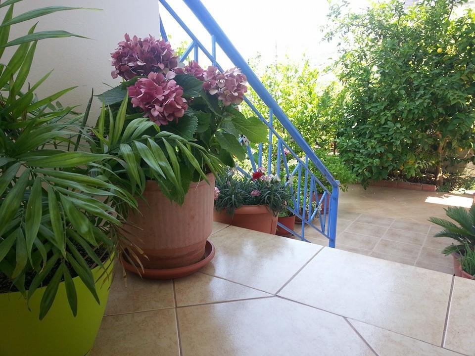 Vita Apartment - Spacious Garden And Balcony 5 Min To Beach & Center Ksamil Eksteriør bilde
